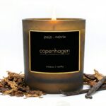 Copenhagen coconut apricot wax candle
