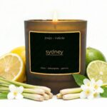 Sydney coconut apricot wax candle