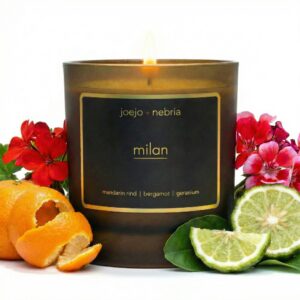 Milan coconut apricot wax candle