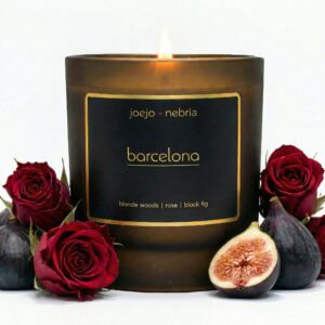 Barcelona coconut apricot wax candle