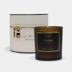 Vienna-Scented Coconut Apricot Candle
