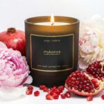 Mykonos coconut apricot wax candle