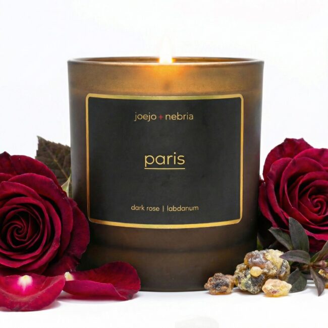 Paris coconut apricot wax candle