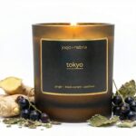 Tokyo coconut apricot wax candle